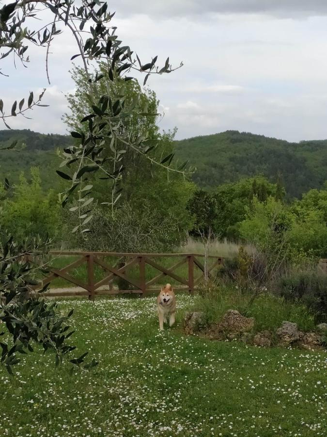 Agriturismo La Provenca เคียนเชียโนแตร์เม ภายนอก รูปภาพ