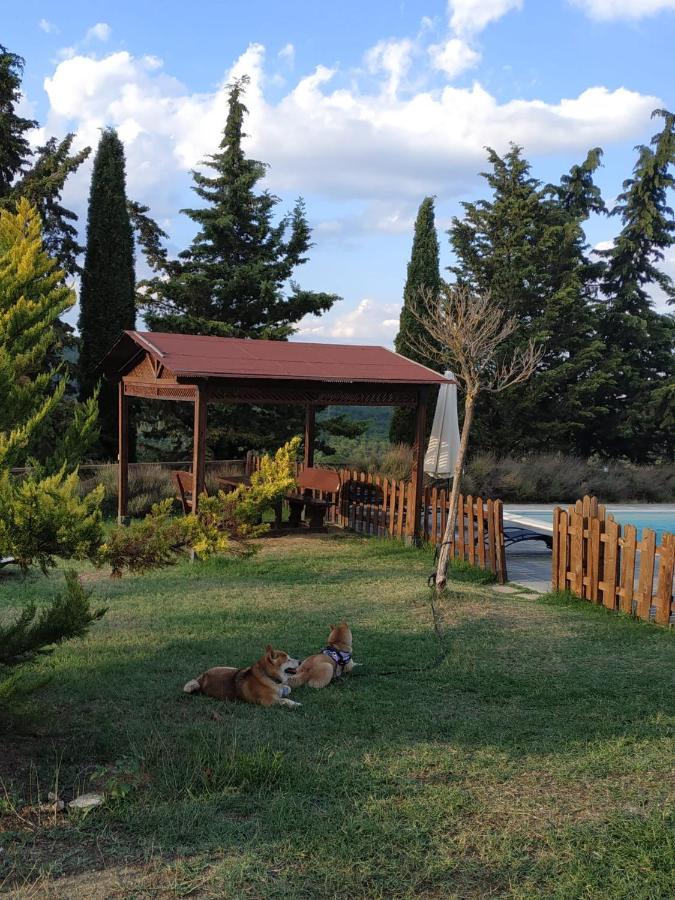 Agriturismo La Provenca เคียนเชียโนแตร์เม ภายนอก รูปภาพ