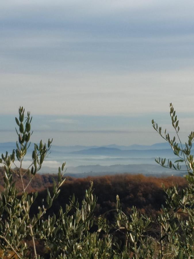 Agriturismo La Provenca เคียนเชียโนแตร์เม ภายนอก รูปภาพ