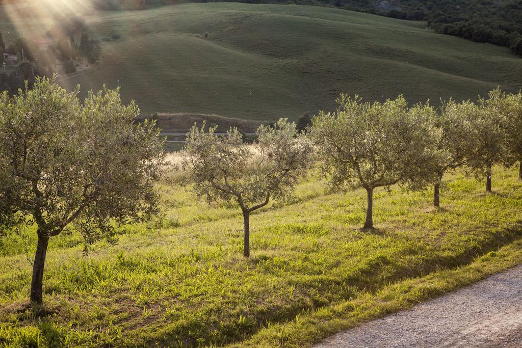 Agriturismo La Provenca เคียนเชียโนแตร์เม ภายนอก รูปภาพ