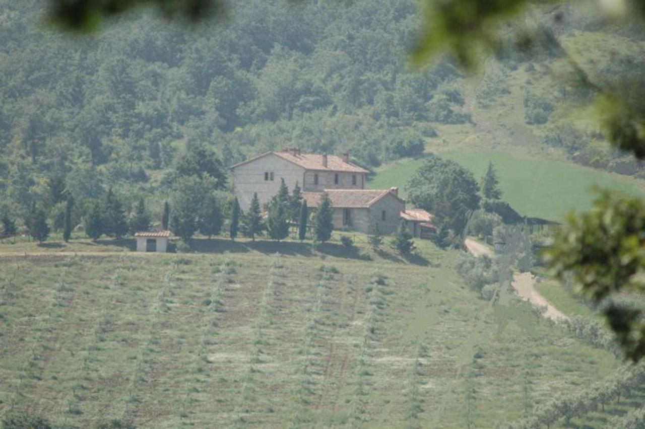 Agriturismo La Provenca เคียนเชียโนแตร์เม ภายนอก รูปภาพ